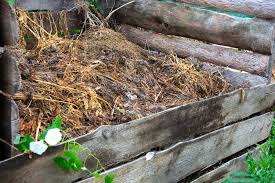 difference between manure and compost