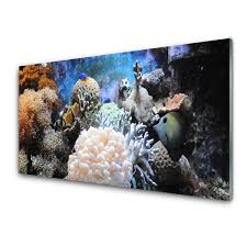 Glass Wall Art C Reef Nature Grey