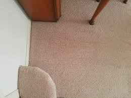 philadelphia carpet cleaning company