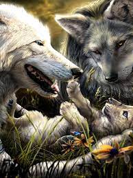 Free download Wolves Wallpaper 3d ...