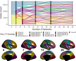 Personalized Brain Networks
