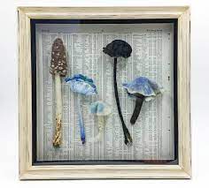Mushroom Specimens Framed Textile