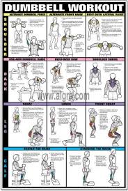 Dumbbell Workout Chart Workout Posters Dumbbell Workout