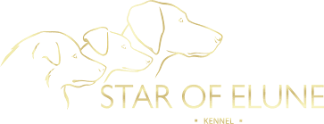 Star Of Elune - Kennel