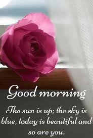 Find here good morning quotes for a perfect start of your day. 70 Romantic Good Morning Quotes For Her With Images
