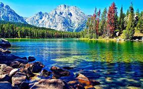 beautiful lake mountain forest desktop