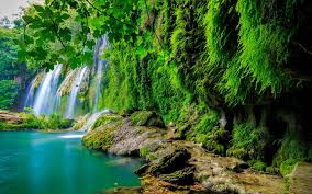 green tropical forest waterfall lake