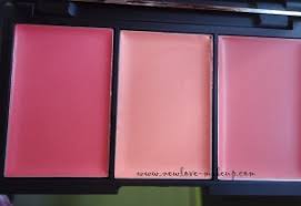 sleek makeup blush by 3 californ i a