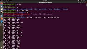 how to install jdk on ubuntu linux