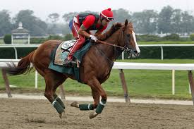 California Chrome Owners Want Horse To Keep Racing After