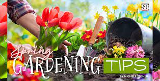 Spring Gardening Tips Sb