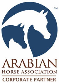 arabian horse ociation exclusive