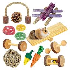 toys guinea pig toys 18 pcs wooden