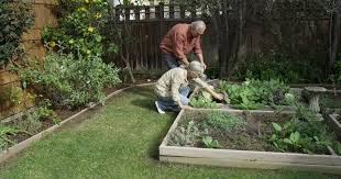 Guide To Raised Beds How To Create