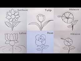 flowers drawing easy step by step kids