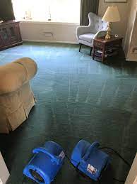 owens carpet cleaning reviews latham