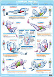 Abdominal Exercise Poster Core Muscles Chart Stomach Muscles