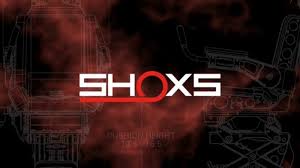 Image result for shoxs