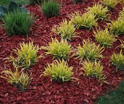 why not to use d mulch naturescapes