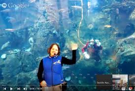 Experience the Aquarium from anywhere! | Seattle Aquarium gambar png
