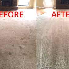 master clean carpet cleaning 11
