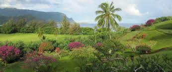 Ocean temperatures range from 60 to 80 degrees. Local Girl S Guide To The Garden Island Princeville Vacation Rentals