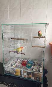 Beautiful Glass Bird Cage Pet Supplies