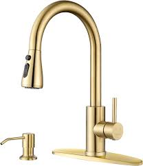 dayone kitchen faucet with soap