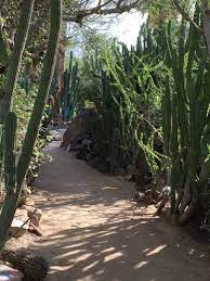 moorten botanical garden palm springs