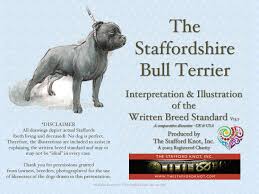The staffordshire bull terrier was brought to the u.s. Tsk Sbt Seminar V13 7 Comparative Uk Us By The Stafford Knot Inc 501 C 3 Issuu