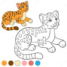 colors little cute baby jaguar