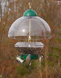 bird feeder with a squirrel baffle