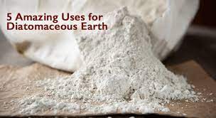 is diatomaceous earth safe for dogs