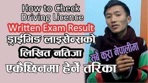 check driving license result
