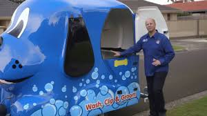Serving las vegas and the surrounding area. Inside A Blue Wheelers Dog Wash Grooming Mobile Salon Youtube
