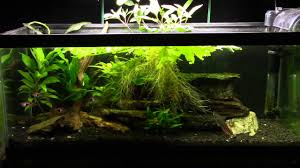 The most effective way to soften water via peat is to. How To Soften Aquarium Water 5 Safe Effective Methods