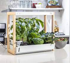 best indoor growing systems for growing