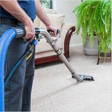 10 best carpet cleaning in sunshine