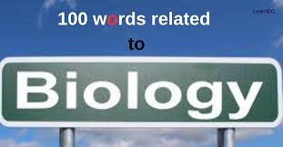 biology in hindi 100 words to