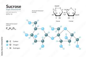 molecule 3d model c12h22o11 atoms