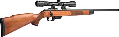 Rock Island 22 Tcm Rifle Review