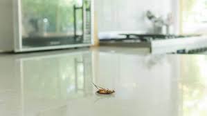 how to get roaches out of your appliances