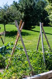 How To Create A Trellis In Your Garden