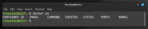 how to install docker on linux mint 21