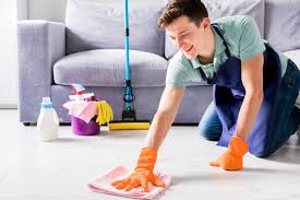 professional carpet cleaning and house