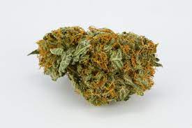 Big Bang Strain of Marijuana | Weed | Cannabis | Herb