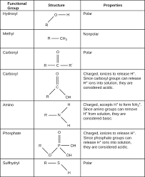 Functional Groups Introduction To Chemistry