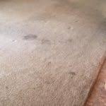 grout cleaning carpet repair services