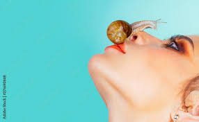 cute snail skin care mage