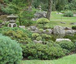 Japanese Garden Plants